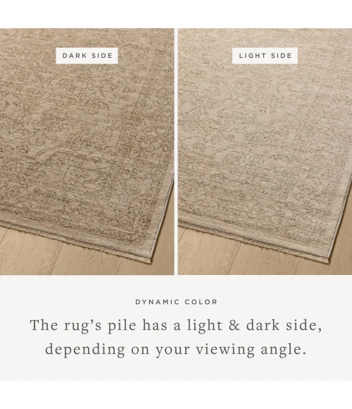 Loloi Newman Taupe / Bone NEW-01 5ft.-3in. X 7ft.-6in. Rect. Rug