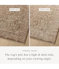 Loloi Newman Bark / Natural NEW-02 5ft.-3in. X 7ft.-6in. Rect. Rug