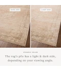 Chris Loves Julia x Loloi Palma Spice / Natural PLM-02 2ft.-7in. X 7ft.-6in. Rect. Rug
