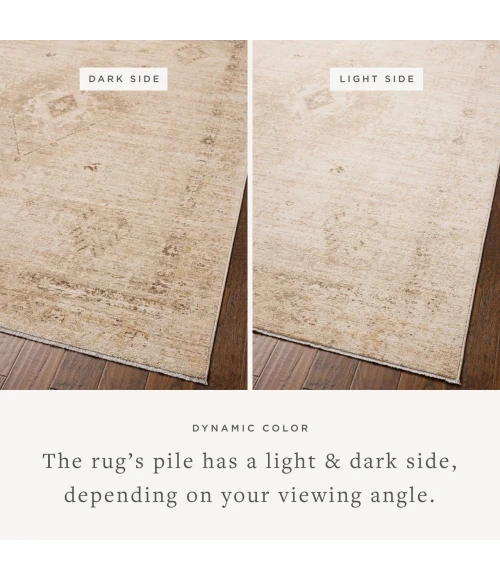 Chris Loves Julia x Loloi Palma Natural / Smoke PLM-06 2ft.-7in. X 7ft.-6in. Rect. Rug