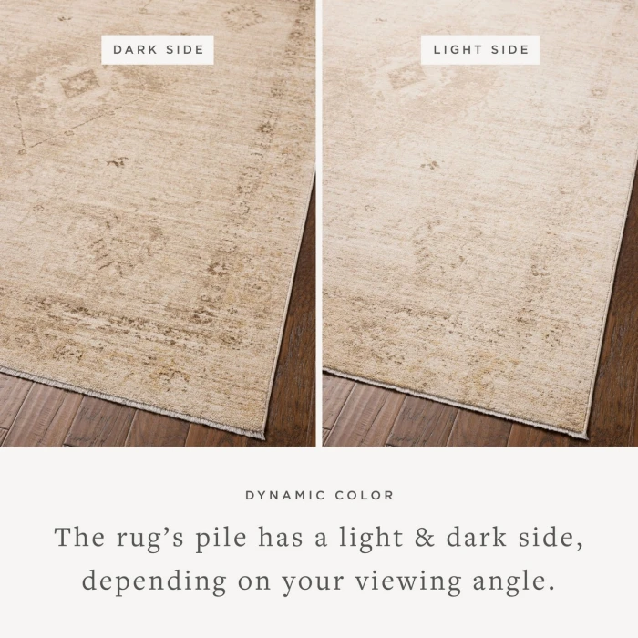 Chris Loves Julia x Loloi Palma Natural / Smoke PLM-06 9ft.-6in. X 13ft.-1in. Rect. Rug