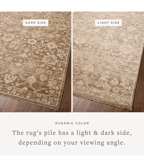 Chris Loves Julia x Loloi Palma Brown / Earth PLM-09 2ft.-7in. X 7ft.-6in. Rect. Rug