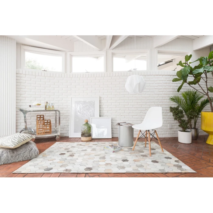 Loloi Promenade PO-02  Area Rug