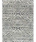 Loloi Quincy QC-01  Area Rug
