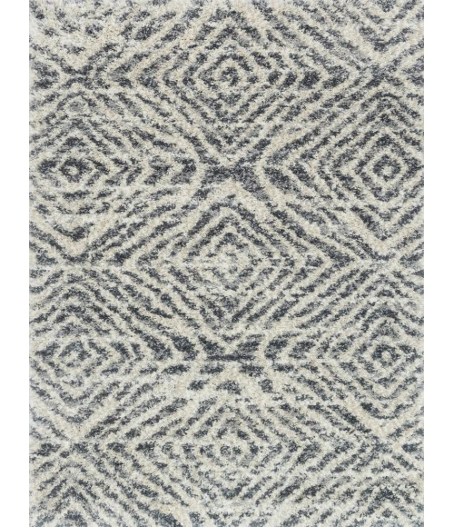 Loloi Quincy QC-01  Area Rug