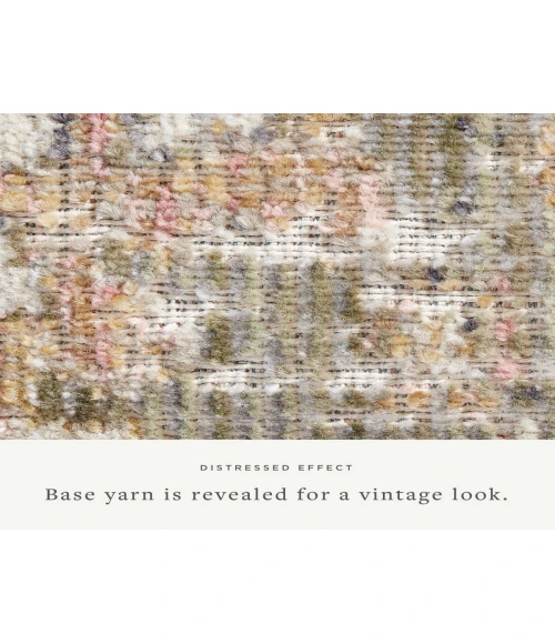 Chris Loves Julia x Loloi  Rosemarie ROE-01  Area Rug