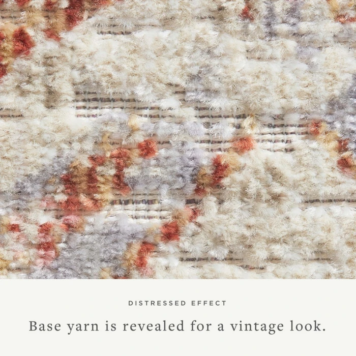 Chris Loves Julia x Loloi  Rosemarie ROE-05  Area Rug