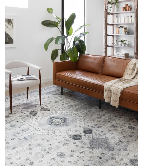 Loloi II Skye SKY-02  Area Rug