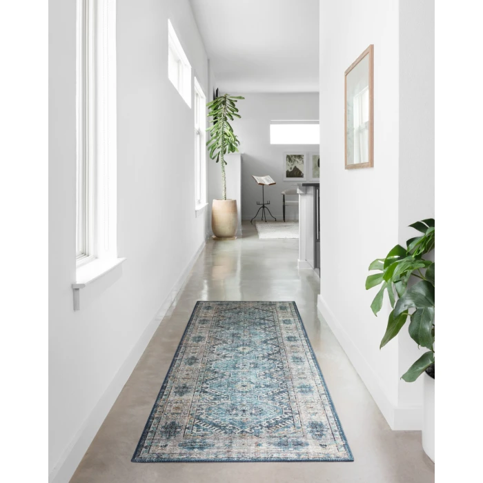 Loloi II Skye SKY-03  Area Rug