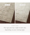 Loloi Sonnet Sand / Taupe 3'-7" x 5'-7" Accent Rug