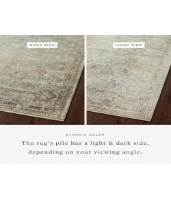 Loloi Sonnet SNN-02 Lagoon / Gold Area Rug 3 ft. 7 in. X 5 ft. 7 in. Rectangle
