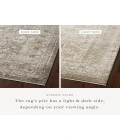 Loloi Sonnet Grey / Sage 3'-7" x 5'-7" Accent Rug