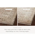 Loloi Sonnet Mocha / Tan 11'-6" x 15' Area Rug