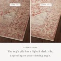 Loloi Sonnet Spice / Multi 5' x 7'-10" Area Rug