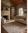 Loloi Townes Pebble / Beige TOW-01 2ft.-7in. X 10ft. Rect. Rug