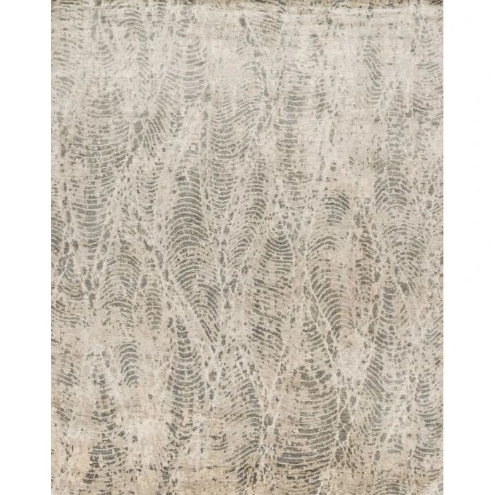 Loloi Transcend TD-02  Area Rug