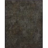 Loloi Winchester Black WNC-11 2ft-3in. x 3ft-10in. Rect. Rug