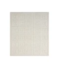 LR Home Atlas 82415 Ivory 5'0" X 7'0 Rect. Rug