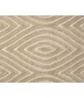 LR Home Atlas 82419 Beige 5'0" X 7'0 Rect. Rug