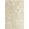 Arya AUR-AB Beige 9 ft. x 12 ft. Rectangle Area Rug
