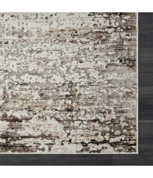 LR Home Brisbane Dark Gray 82286 2 ft. X 3 ft. Rect. Rug