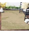 Captiva CAPTI 81024 Area Rug