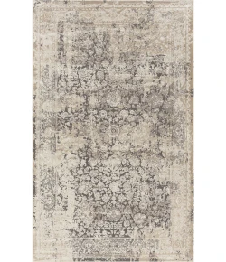 LR Home Cheshire Grey 82121 2 ft. X 3 ft. Rect. Rug