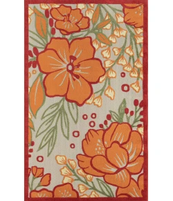 Rugs Town Cabana Gray Silvan 2ft. x 3ft. Rect. Rug