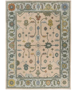 LR Home Elize Pink ELIZE 10ft. x 14ft. Rectangle Rug