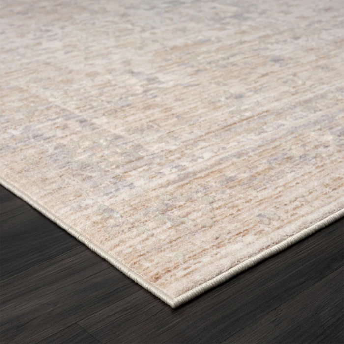 LR Home Lancaster 82299 Beige/ Gray 4' X 6' Rect. Rug