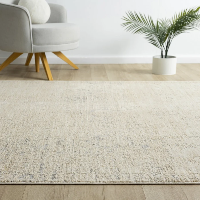 Rugs Town Beige Rochelle 2ft.3in. x 3ft.6in. Rect. Rug