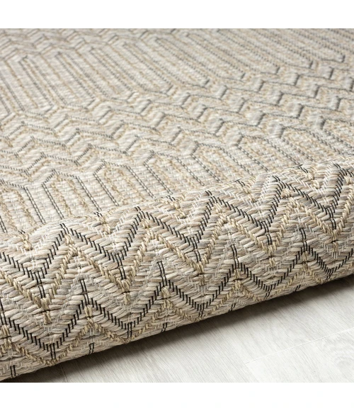 LR Home Oslo 82117 Beige/ Brown 5'0" X 7'0 Rect. Rug