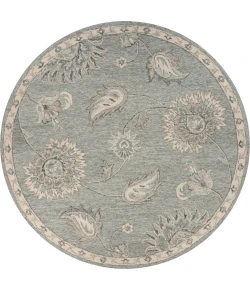 Vicencia VIC-AS Gray Area Rug 4 ft. 10 in. Round