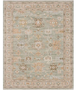 Karastan Persepolis Dusty Sage R1392 9ft. X 12ft. Rect. Rug