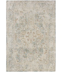 Karastan Windermere Blue R1261 10 ft. X 14 ft. Rectangle Rug