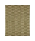 Karastan Broken Stripe Moss 5' x 8' Area Rug