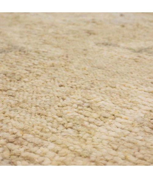 Karastan Coventry Brown/Tan R1212 8 ft. X 10 ft. Rectangle Rug