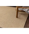Karastan Lanai By Salt Life Brown/Tan R1269 6 ft. 6 in. X 9 ft. Rectangle Rug