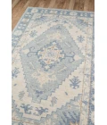 Momeni Anatolia Area Rug ANA-1 Blue 2'3 X 7'6 Runner