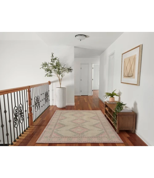 Momeni Anatolia Area Rug ANA10 Pink 3'3 X 5'