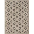 Momeni Andes Area Rug AND-2 Beige 7'9 X 9'9