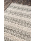 Momeni Andes Area Rug AND10 Ivory 2'3 X 8' Runner