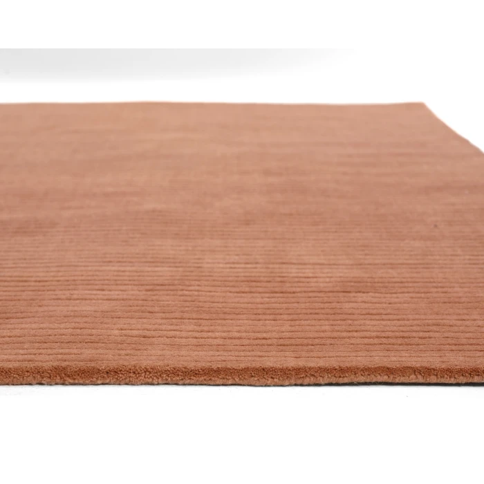 Momeni Asher ASH-1 Rust 2 ft. X 4 ft. Rectangle Rug
