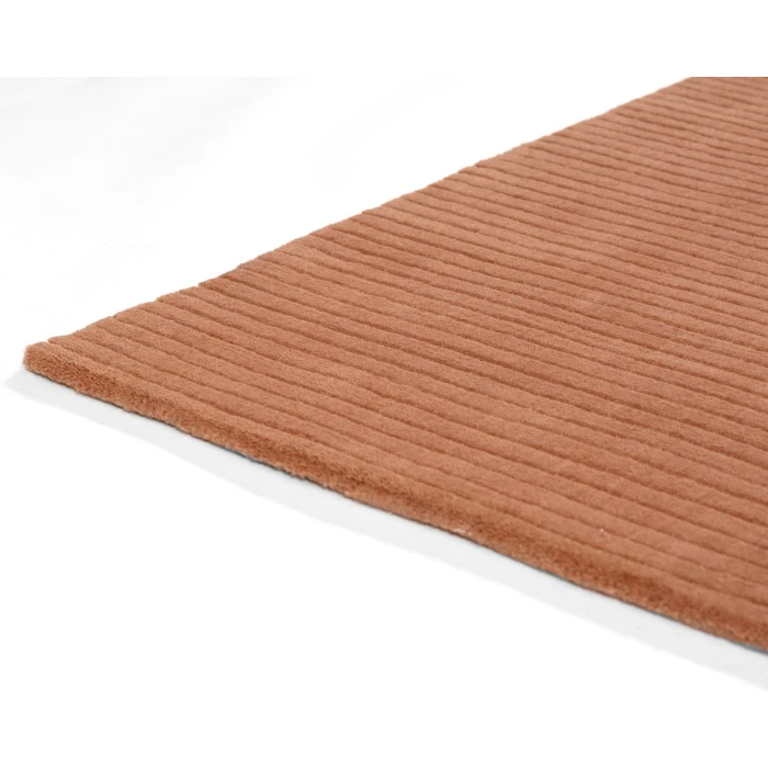 Momeni Asher ASH-1 Rust 2 ft. X 4 ft. Rectangle Rug
