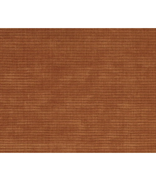 Momeni Asher ASH-1 Rust 2 ft. X 4 ft. Rectangle Rug