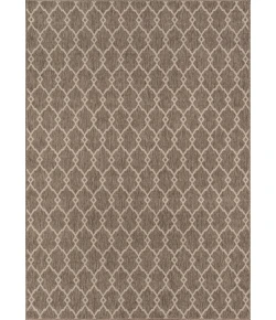 Momeni Baja Baj-2 Taupe Area Rug 3 ft. 11 in. X 5 ft. 7 in. Rectangle