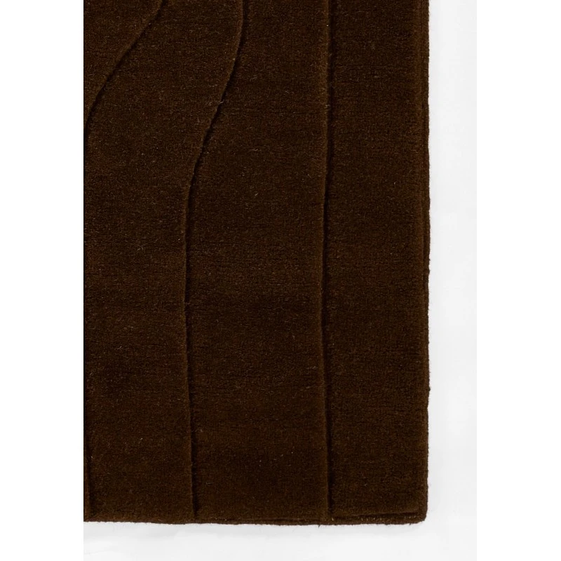 Momeni Canyon Brown CYN-1 2 ft. 6 in. X 8 ft. Rect. Rug