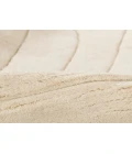 Momeni Canyon Ivory CYN-1 8 ft. X 10 ft. Rect. Rug