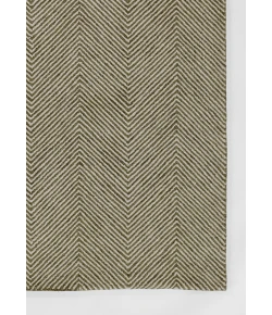 Momeni Charles Chr-1 Green Area Rug 9 ft. X 12 ft. Rectangle