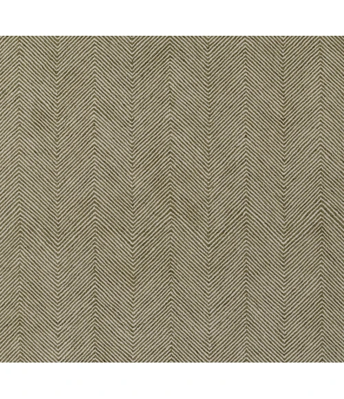 Momeni Charles CHR-1 Green 9' X 12' Area Rug